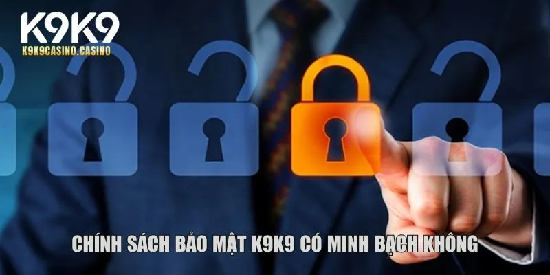 Chính sách bảo mật K9K9