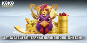 luật đá gà cựa sắt