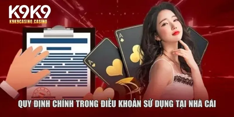Điều khoản sử dụng K9K9