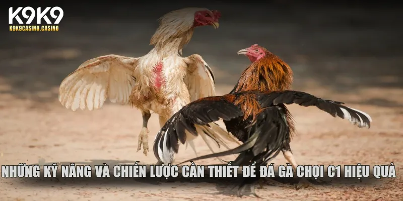Những kỹ năng và chiến lược cần thiết để đánh chọi C1 hiệu quả