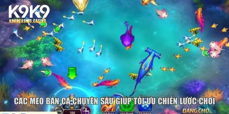 Các mẹo bắn cá chuyên sâu giúp tối ưu chiến lược chơi