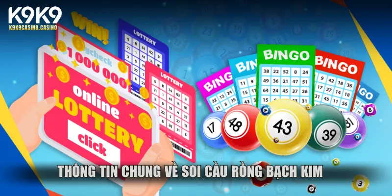 Thông tin chung về soi cầu rồng bạch kim
